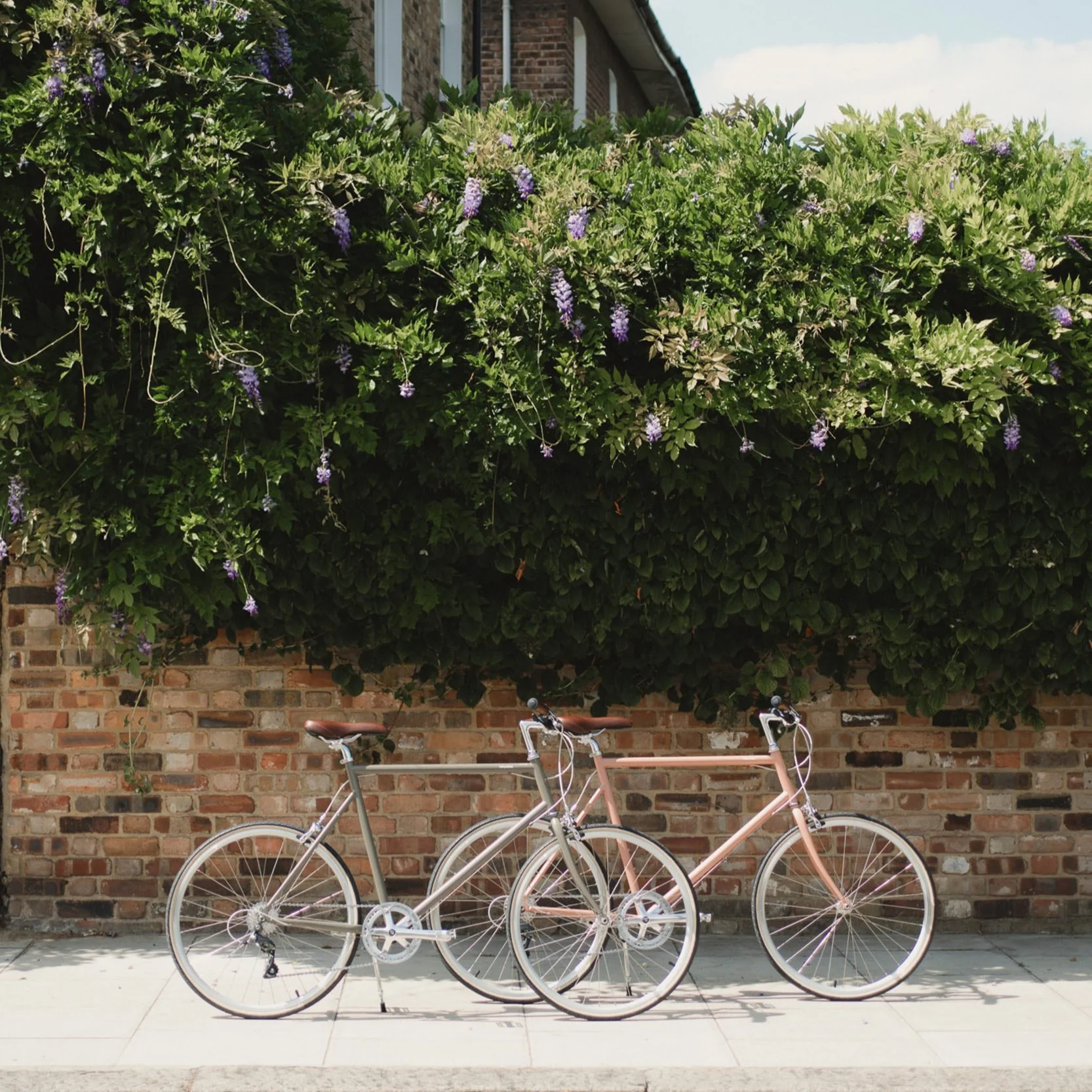 Thumbnail 15